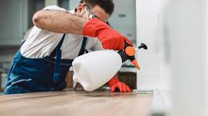 Real Estate Pest Inspections in Walker, LA